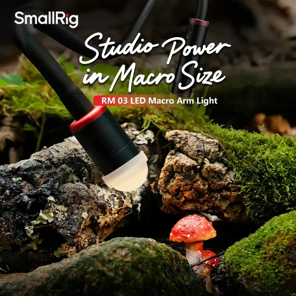 Für Smallrig RM-03 3W LED Makr – Photography Lighting Angles Bewertung und Preis