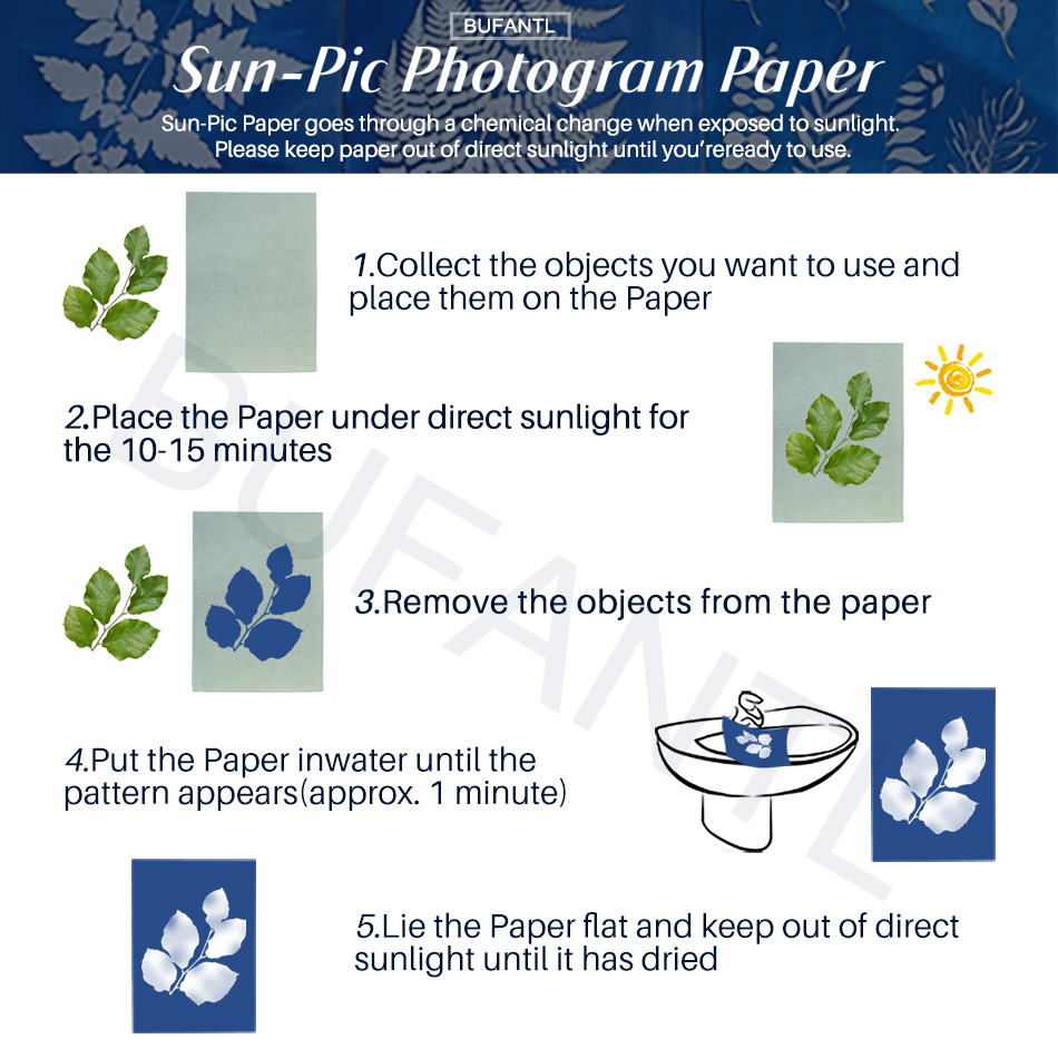 Cyanotypie-Papier 12 Blatt Nac – Lighting In Photography For Beginners Bewertung und Preis