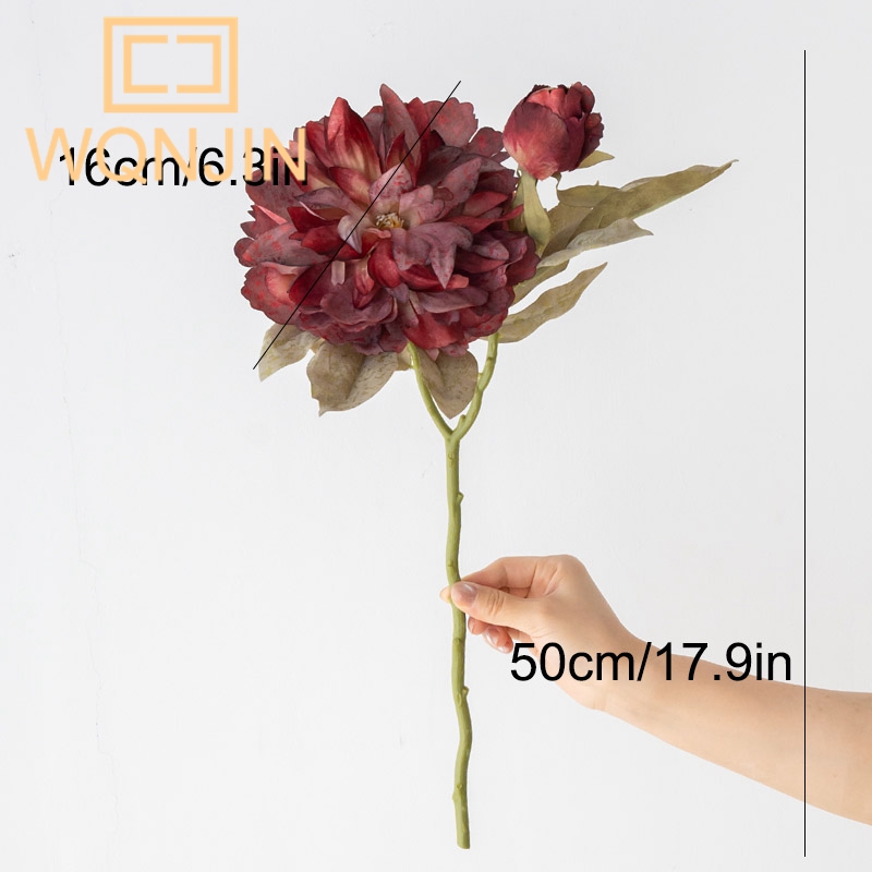 1 Stück Luxuriöse 2-Köpfige Gr – Photography Lighting Home Bewertung und Preis