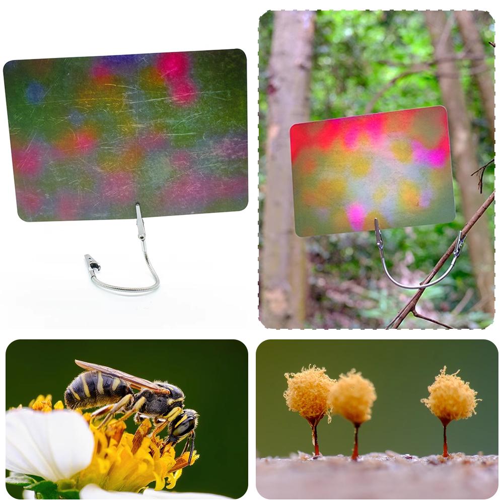 Makrofotografie-Hintergrundkar – Photography Lighting Material Bewertung und Preis