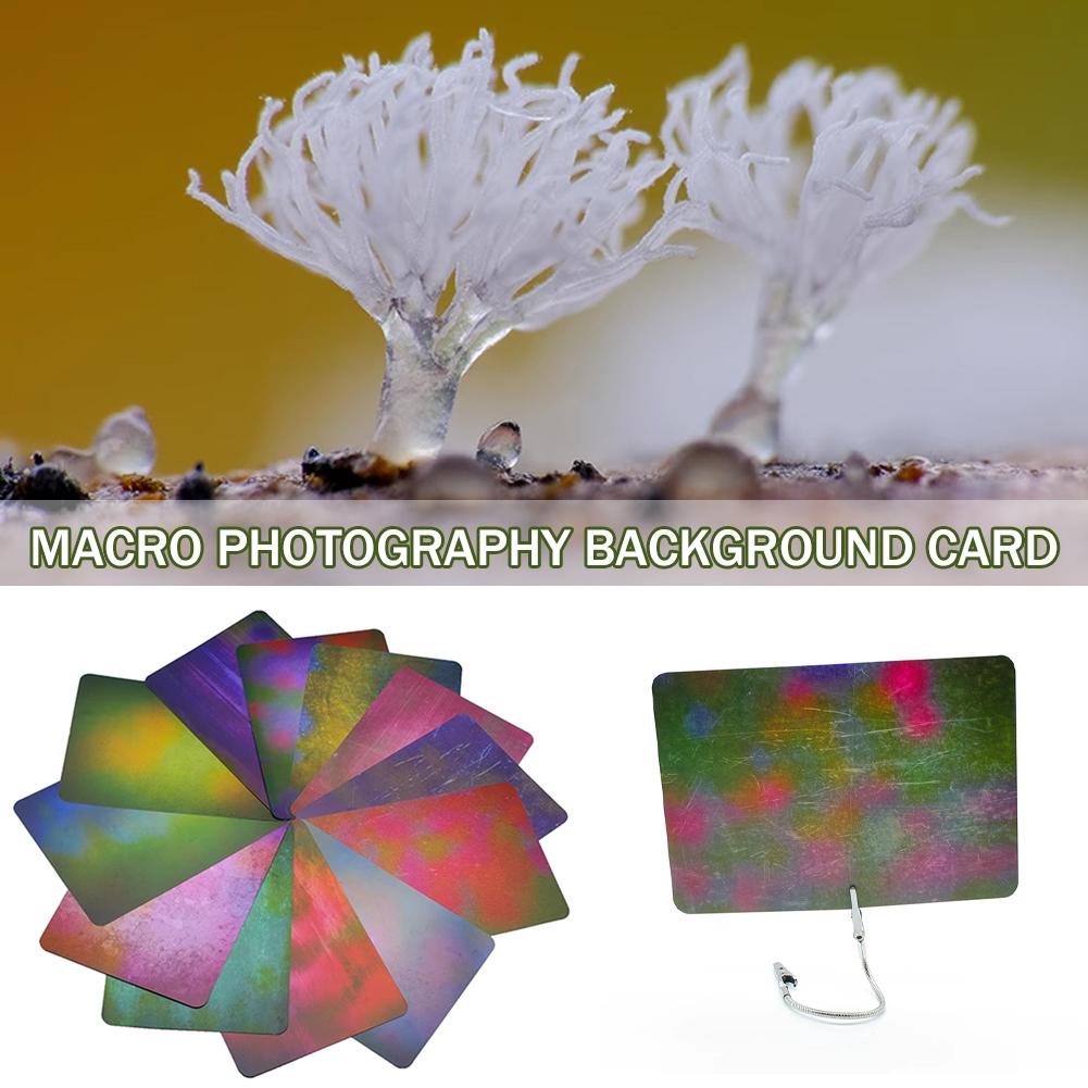 Makrofotografie-Hintergrundkar – Photography Lighting Material Bewertung und Preis