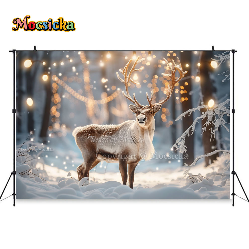 Winter Schnees zenen Fotografi – Photography Natural Lighting Bewertung und Preis
