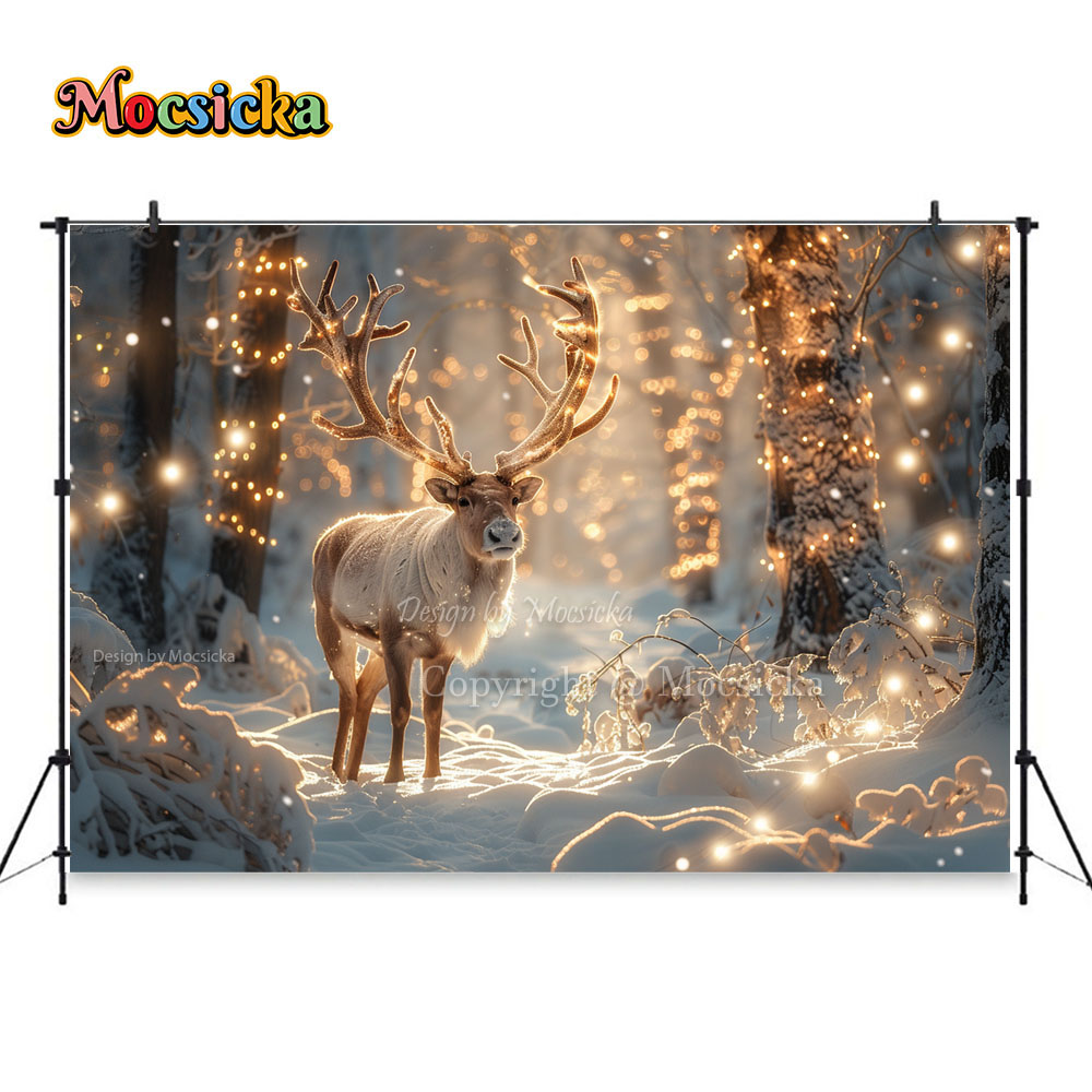 Winter Schnees zenen Fotografi – Photography Natural Lighting Bewertung und Preis
