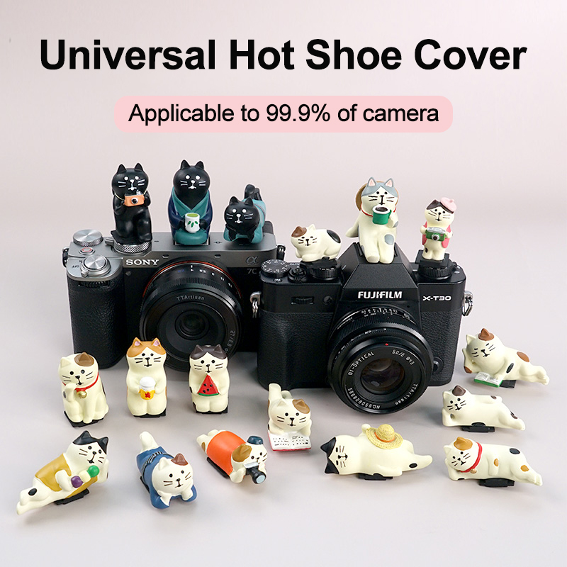 Universelle Blitzschuhabdeckun – Canon Camera Eos R50 Bewertung und Preis