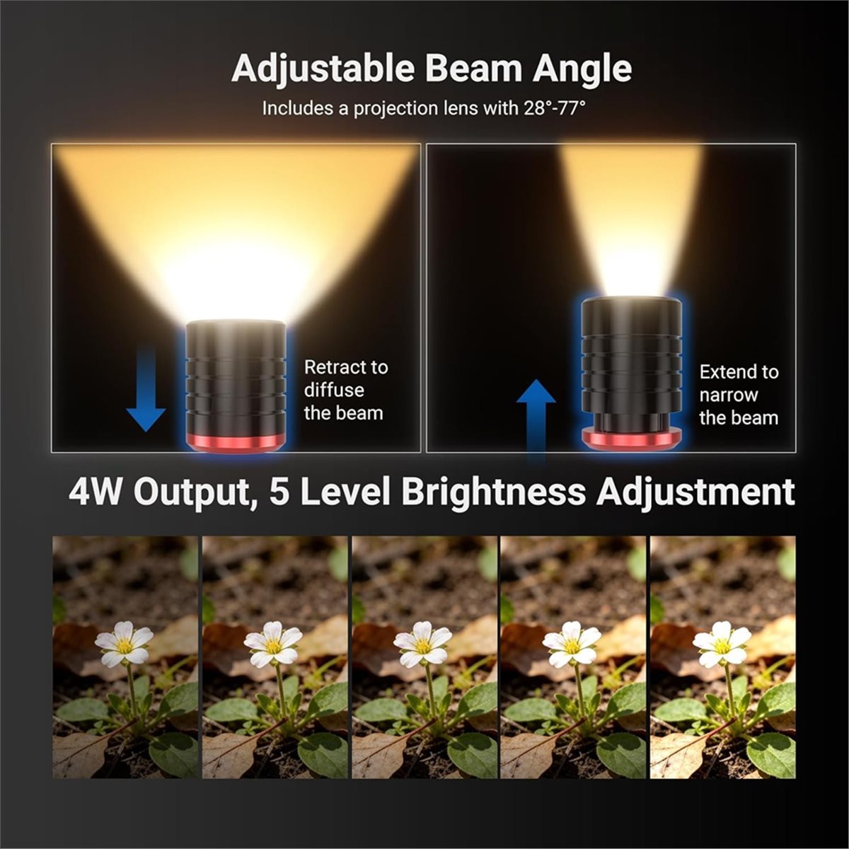 M05K LED-Licht für Makrofotogr – Photography Lighting Angles Bewertung und Preis