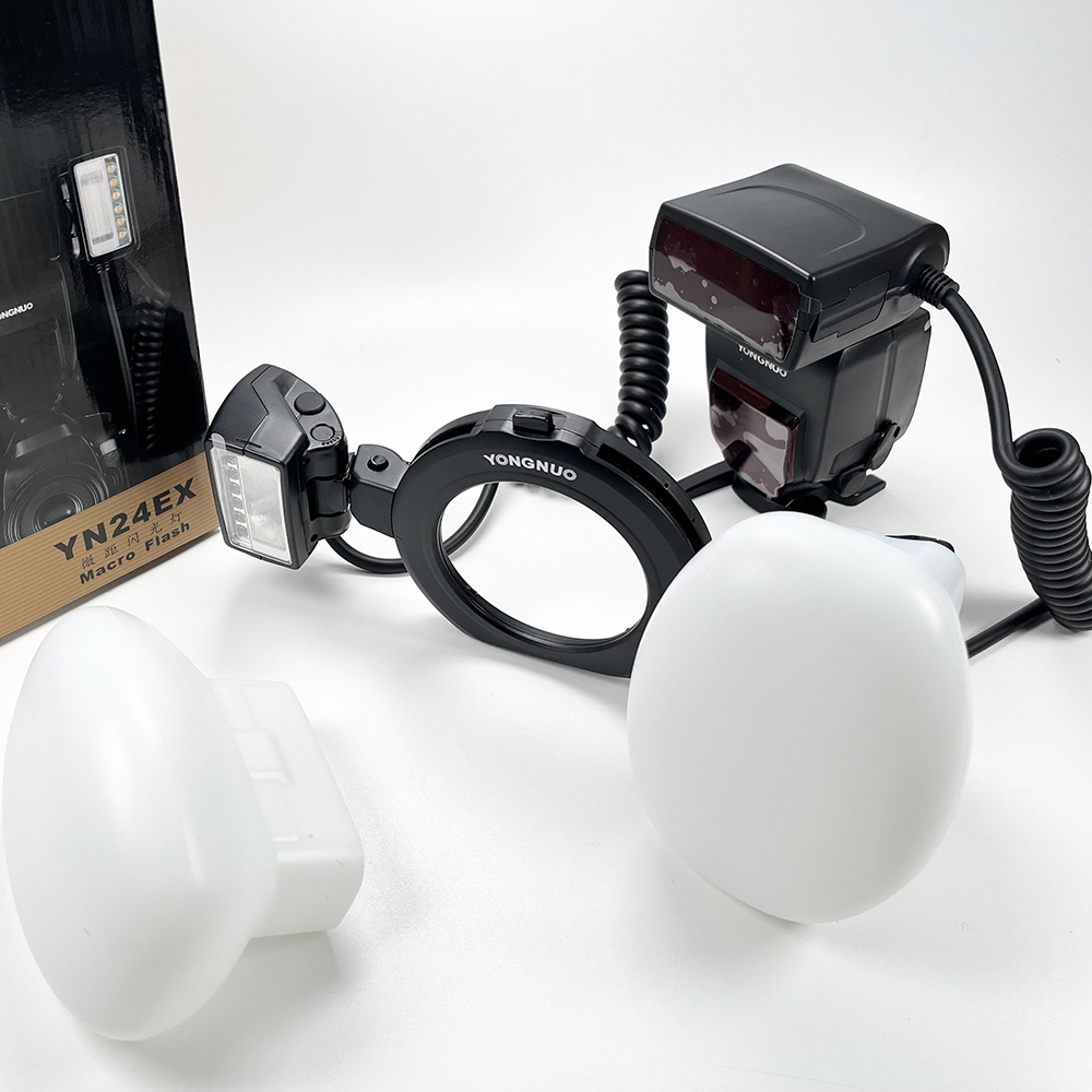 2 Stück Silikon-Softbox Dental – Photography Natural Lighting Bewertung und Preis